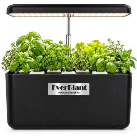 EverPlant Basic