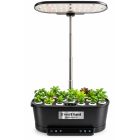 EverPlant Smart