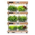 EverPlant Social