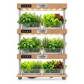 EverPlant Social