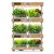 EverPlant Social