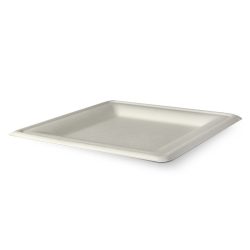   Kompostierbar Zuckerrohr Teller, eckig, 20 x 20 cm / 50 Stück